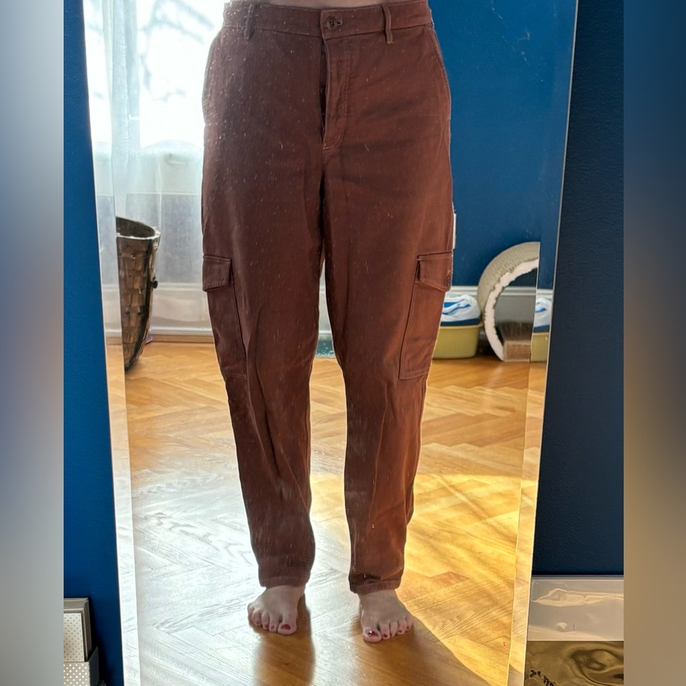 ARITZIA WILFRED FREE Brown Cargo Pants Size 14